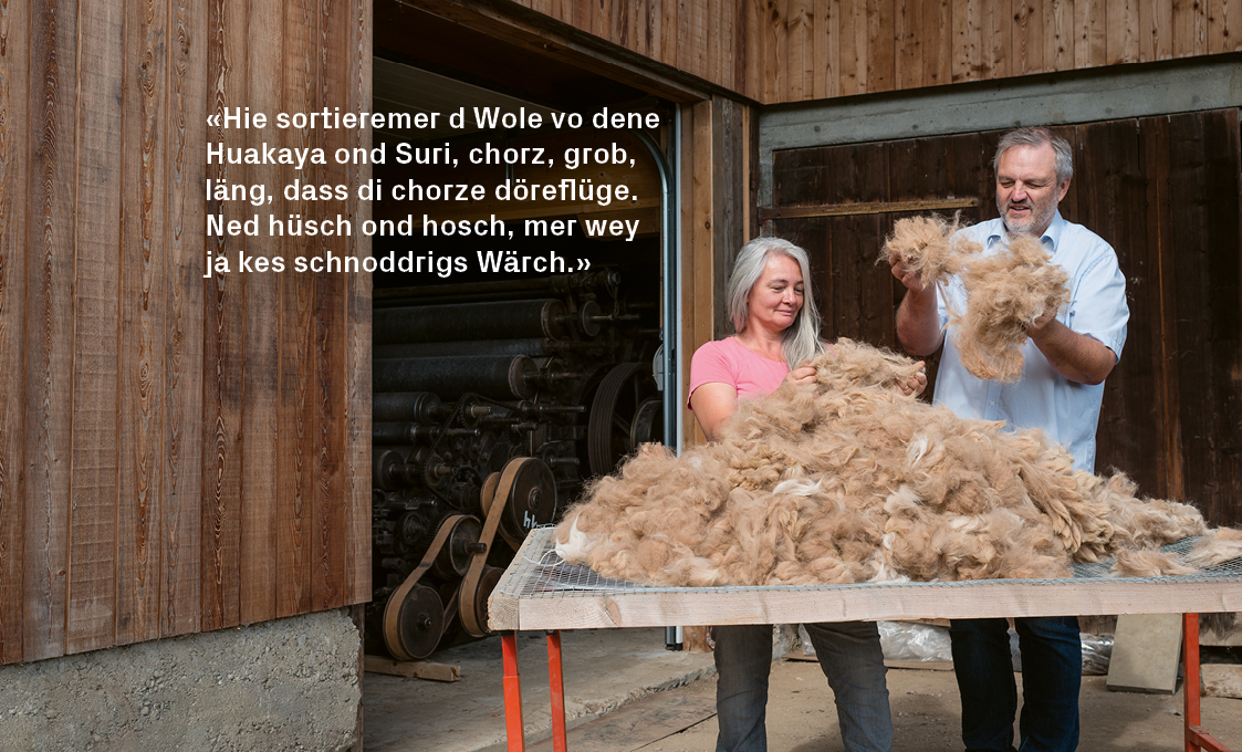  Sandra und Bruno Schmocker sortieren die Wolle ihrer Alpakas für die Weiterverarbeitung.